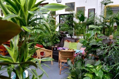 Jungle urbaine : comment créer un mini-jardin dans la maison ?  Plantes de  décor de maison, Deco murale exterieur, Jardinière murale