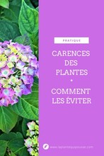 Quel Engrais Choisir Pour Mes Plantes?