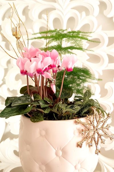 Arrosoir pour plantes d'intérieur, arrosoir de fleurs Extérieur pour  plantes d'intérieur Fleur de jardin, intérieur