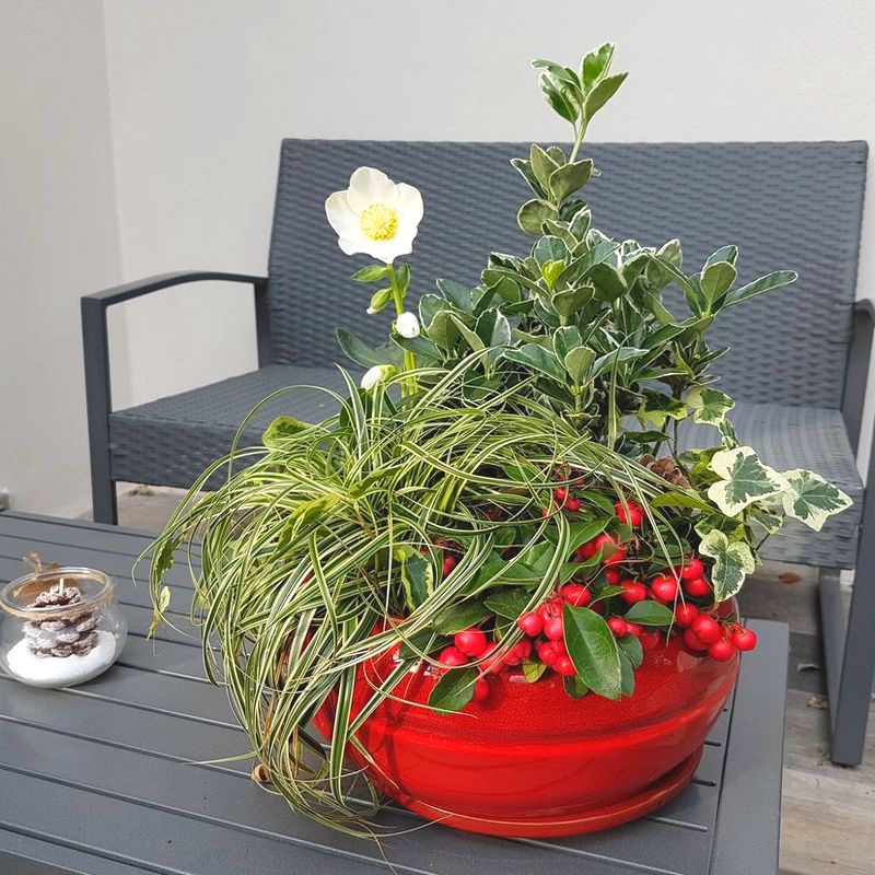 Jardinière d'intérieur et d'extérieur pour plantes vertes, Pot de